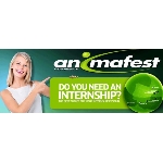 Animafest Experience