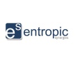 Entropic Synergies