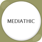 Assistant(e) d�veloppement commercial et partenarial
