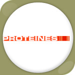 Stage assistant chef de projet