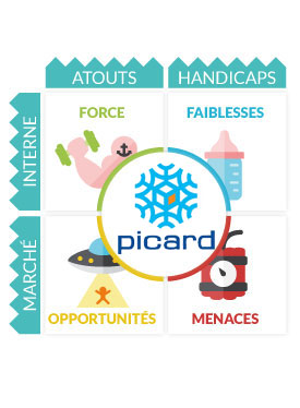 Diagnostic Stratgique Picard