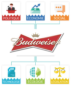 Analyse PESTEL Budweiser