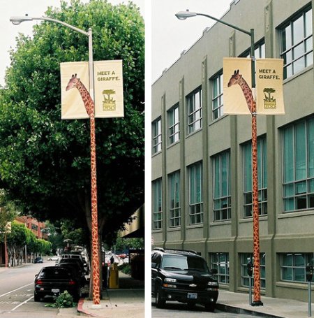 san francisco giraffe
