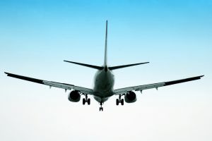licence-professionnelle-international licence-professionnelle-international