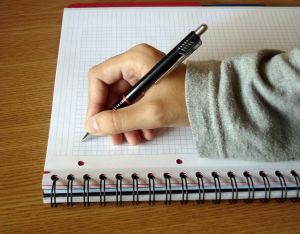 licence professionnelle gestion petites organisations