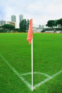 bachelor sportif