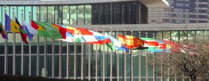 commerce international