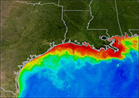 Localisation zone morte Golfe du Mexique - Credit: NOAA 