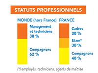 Statuts professionnels parmi les effectifs de Bouygues