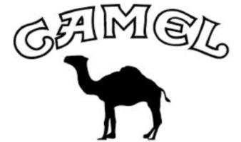 Logo chameau Camel