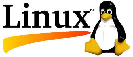 Logo pingouin Linux