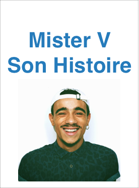 Histoire de Mister V (Vid�aste sur YouTube)