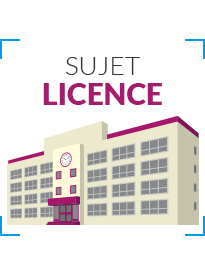 Licence INFOCOM: Sujet Economie des mdias et du numrique