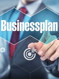 Marketing information business plan