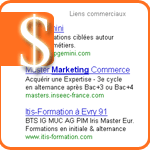 lien sponsorisé avenir search marketing