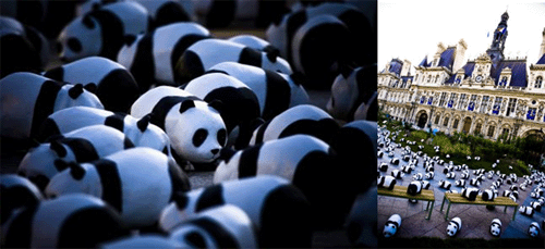 Panda a paris