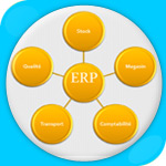 Enterprise Resource Planning (ERP) 