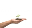 Th�ories de la Motivation
