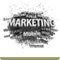 Licence Pro Marketing : Fiche formation