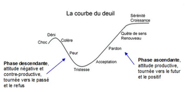 courbe du deuil