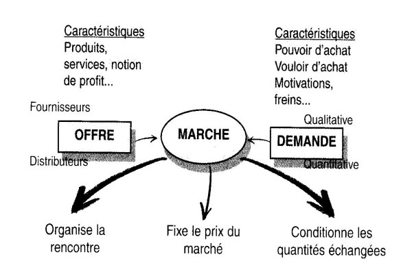 étude de marché