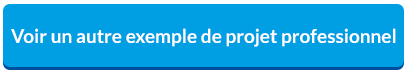 Exemple de projet professionnel en format pdf